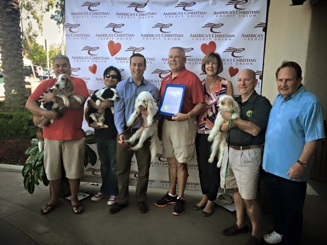 10993090_10203459694884204_6138289354873325748_n